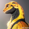 buy crested gecko