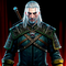 Witcher Ves