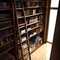 Library Ladder