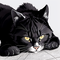 Battle Cats Tier List
