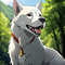 Princess Mononoke, Spirit of the Forest