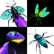 Insecta