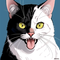 Whiskers McFurry
