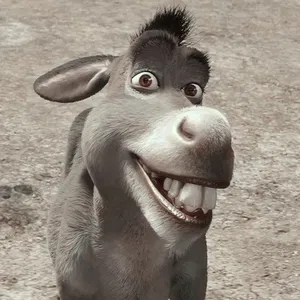 AI chat Donkey