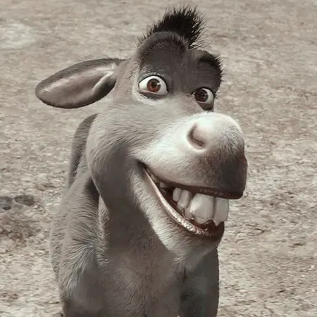 Donkey