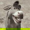 Donkey