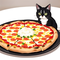 Pizza Cats