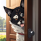 Large Dog Door