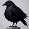 Crow Hogan