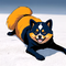 Pomeranius