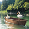 Swan Boat