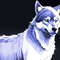 Great Wolf Den New England
