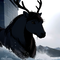 Wet Haired Caribou