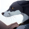 Zookeeper Zephyr