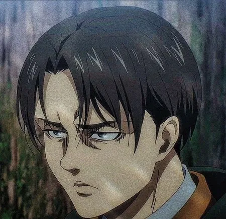 Levi