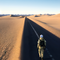 Barren Wasteland