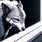 Aardwolf