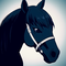 Star Stable Database
