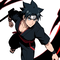 Naruto Road to Ninja