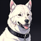 Alabai Dog Price