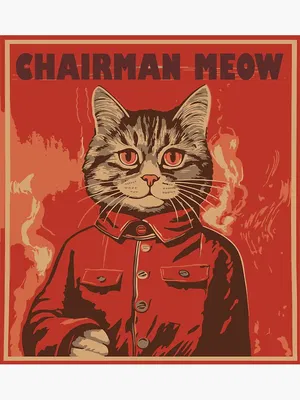 AI chat Chairman Meow