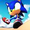 Sonic the Hedgehog Shoes