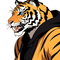 Tiger Costume