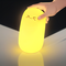 Luminary Lumen