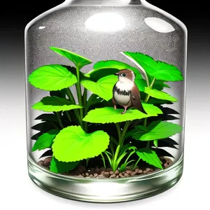 AI chat Nettle Seed