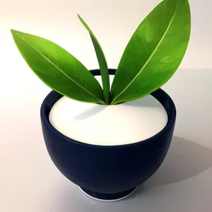 AI chat Rayflower