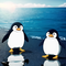 pinguindrum anime