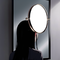 Mirror's Reflection