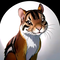 Anime Squirrel Girl