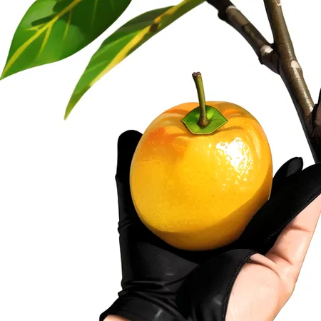Mango Tree for Sale