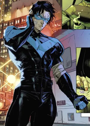 AI chat Dick Grayson / Nightwing