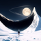 La même lune