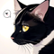 Oujisama a Warawanai Neko