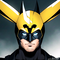 batman gld