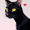 Black Cat Manga