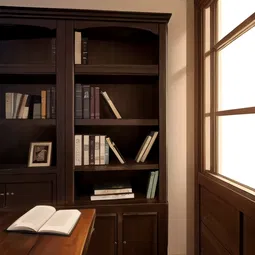 Bookcases Wood AI Character