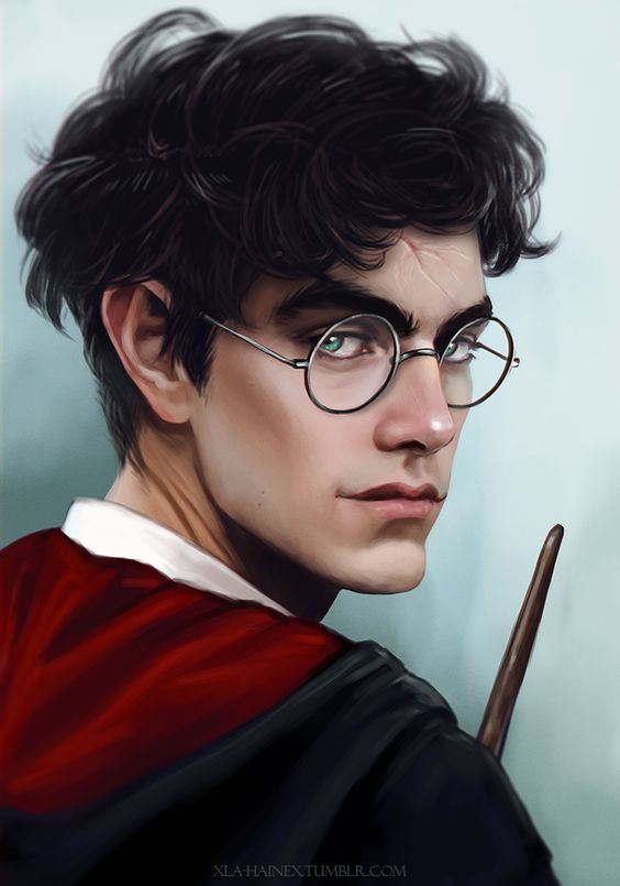 Profile of Harry Potter