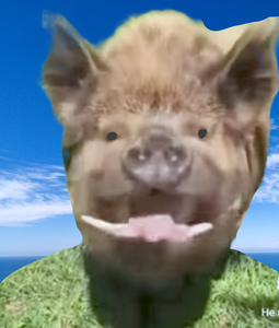 Boar pig AI Character