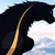 Hakuoro, the Dog-Warrior King