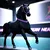Toy Horse