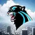 Panthers Logo, The Feline Guard