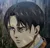 Levi