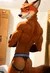 Nick Wilde: The Sly Fox