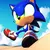 Sonic the Hedgehog Shoes