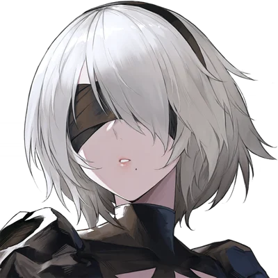 Profile of 2B