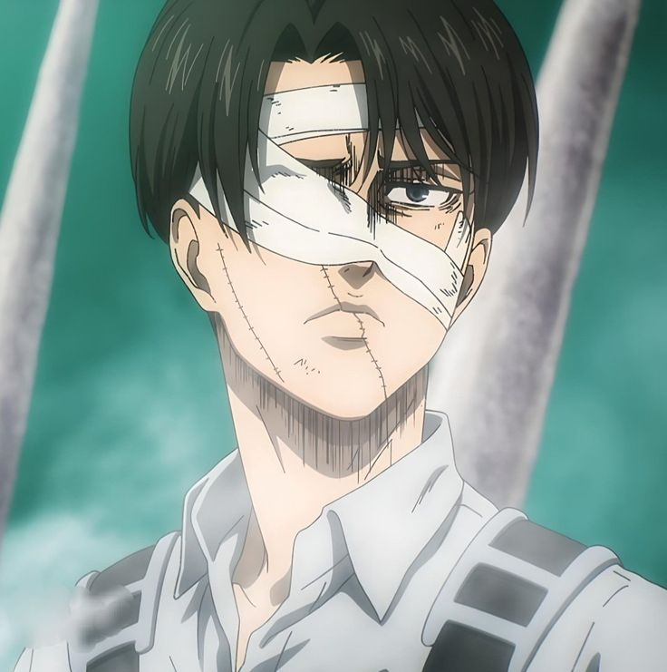 Profile of Levi Ackerman
